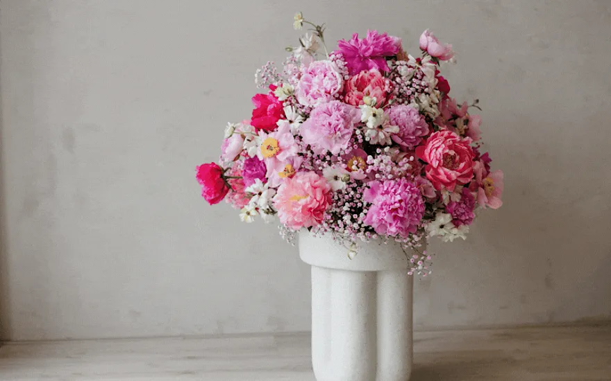 colorful, peonies, 2026