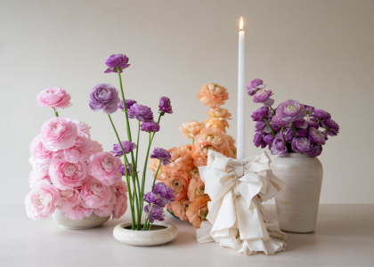 ranonkels,mix,strikken,24