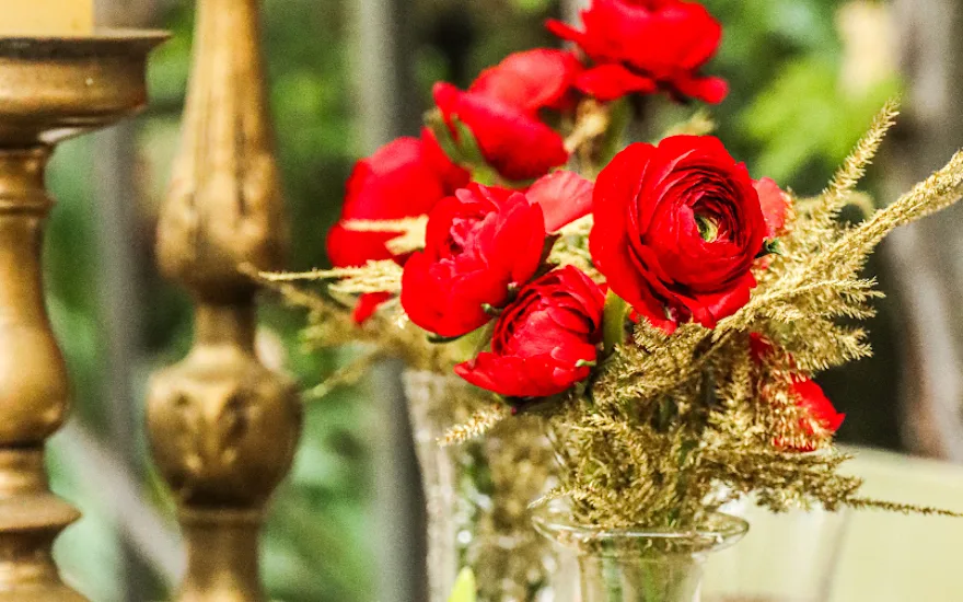 Ranonkels design bloemengroothandel Greenflor