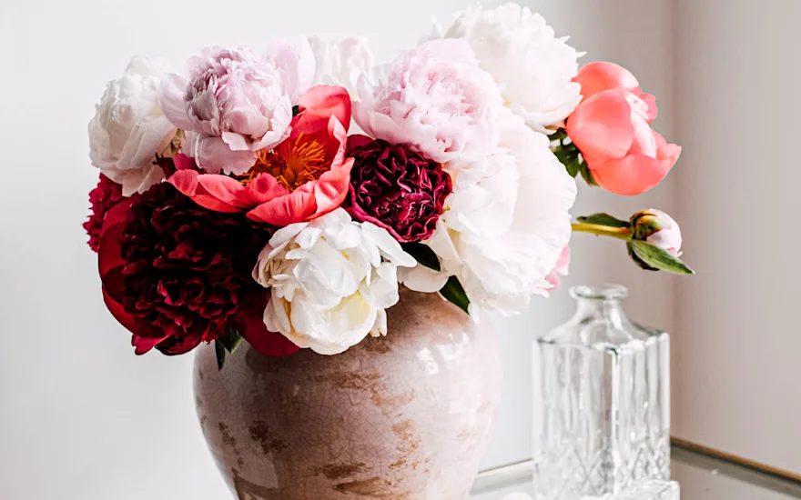peonies,mix,21