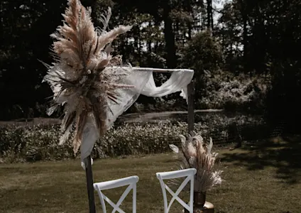 cortaderia, bruin, 22 (1)