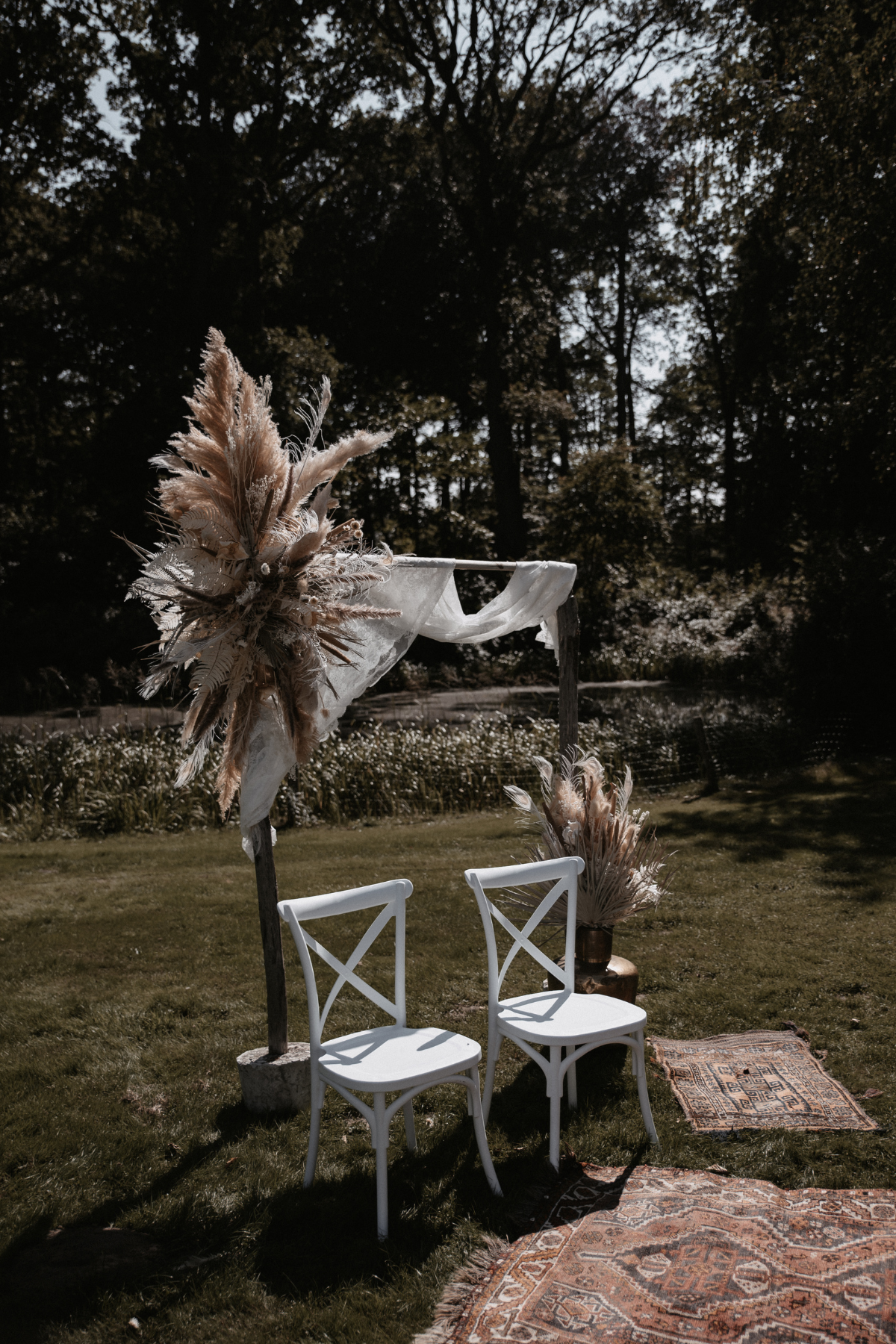 cortaderia, bruin, 22 (1)