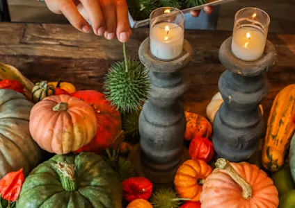 pompoenen,oranje,herfst,2025