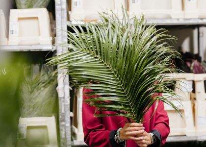 CONTENTFUL - theme slider productfoto (10)