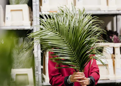 CONTENTFUL - theme slider productfoto (10)