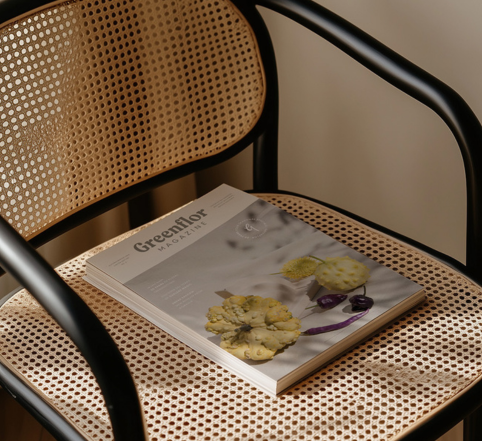 Explore Greenflor's Autumn/Winter Collection 2024