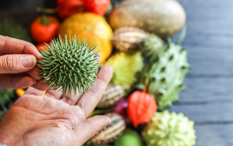 sierfruit,herfst,2025