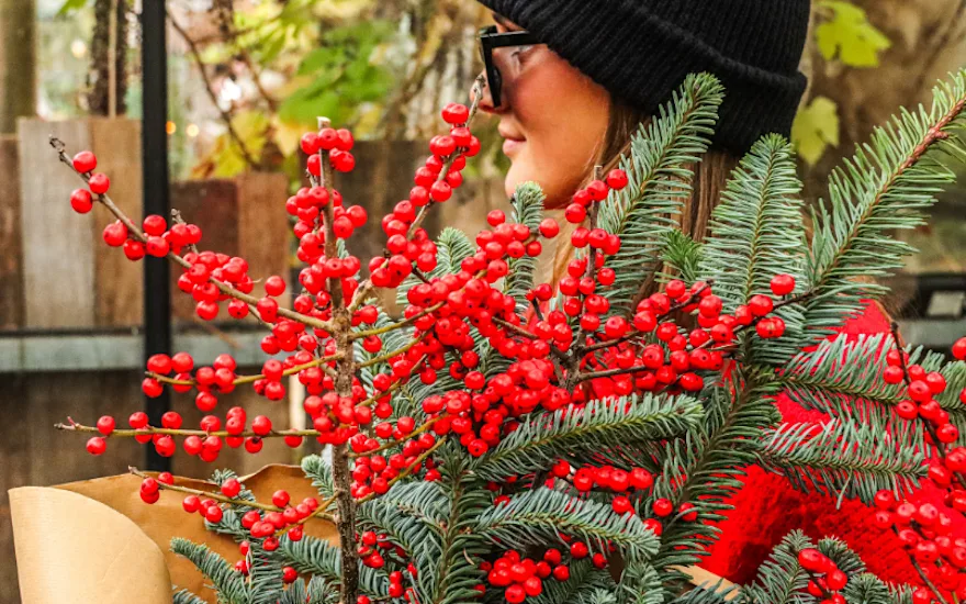 ilex,kerstshoot,25
