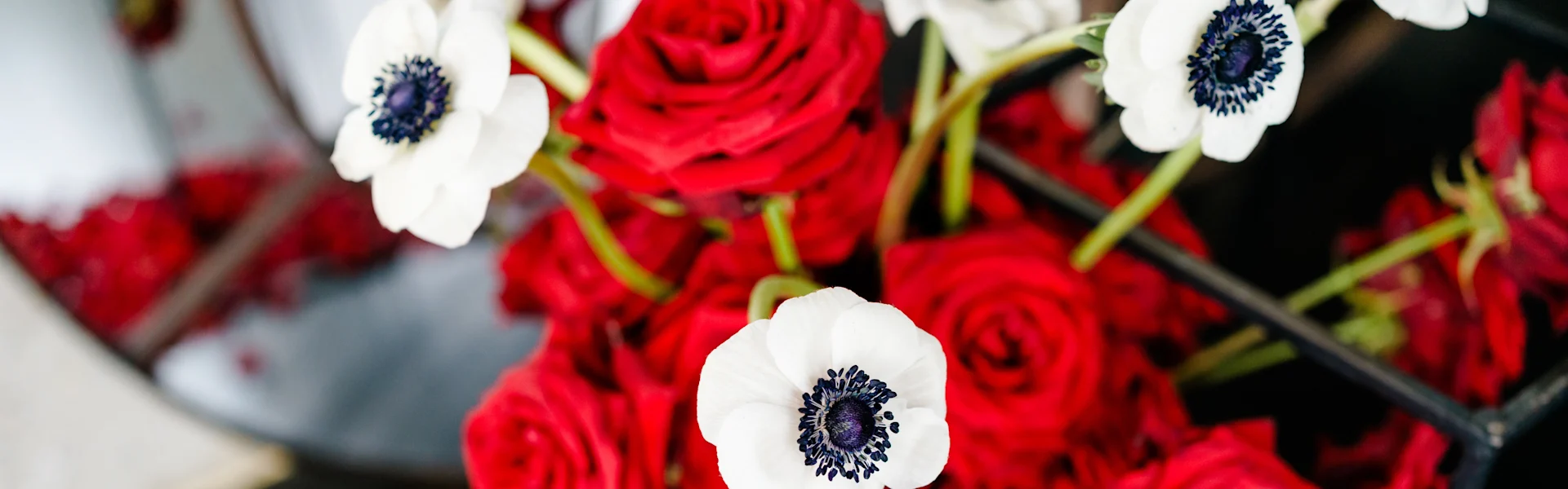 love in bloom: