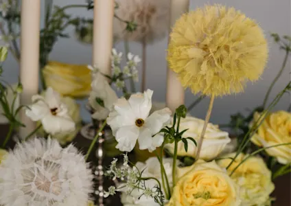 lente,mix,geel,wit,2025