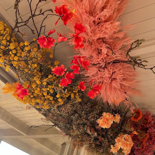 droogbloemen,paars,roze,geel,23