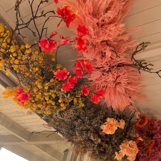 droogbloemen,paars,roze,geel,23