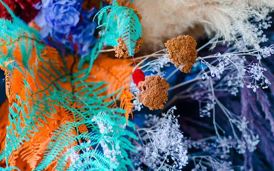 driedflowers,mix,22 (4)