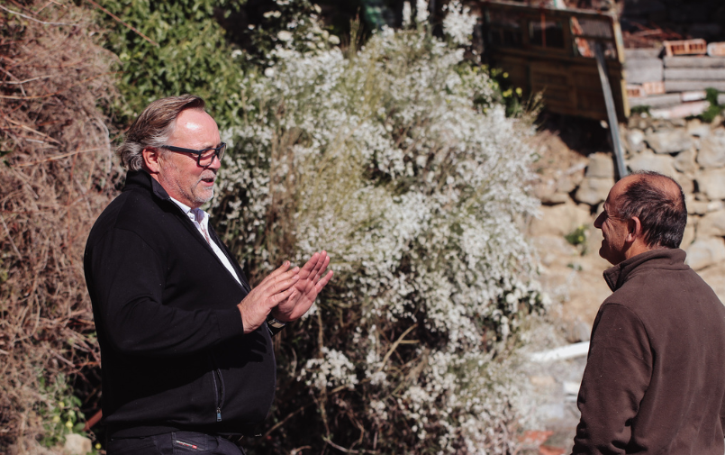 Ginster kweker bloemengroothandel Greenflor