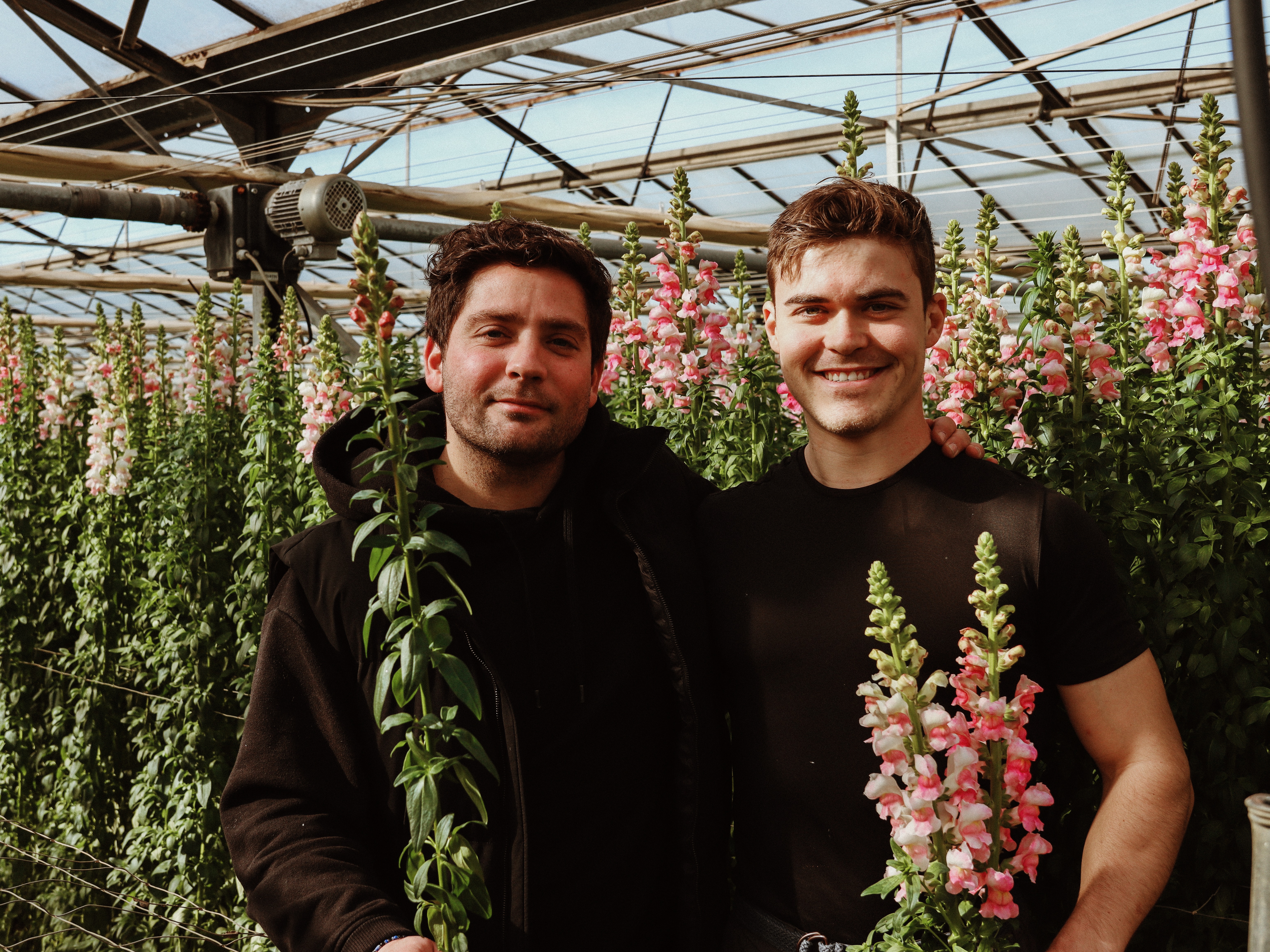 leeuwenbekken,roze,24 (15)