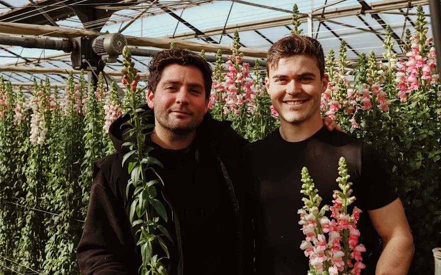 leeuwenbekken,roze,24 (15)