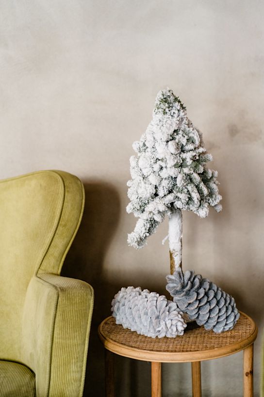 nobilis,groen,22 (12)