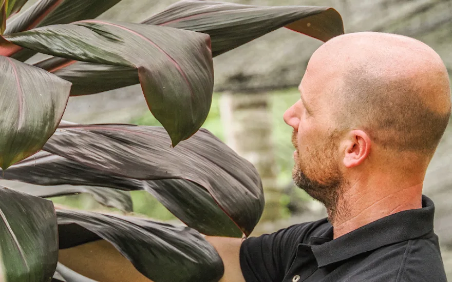 Greenflor international sourcing (2)