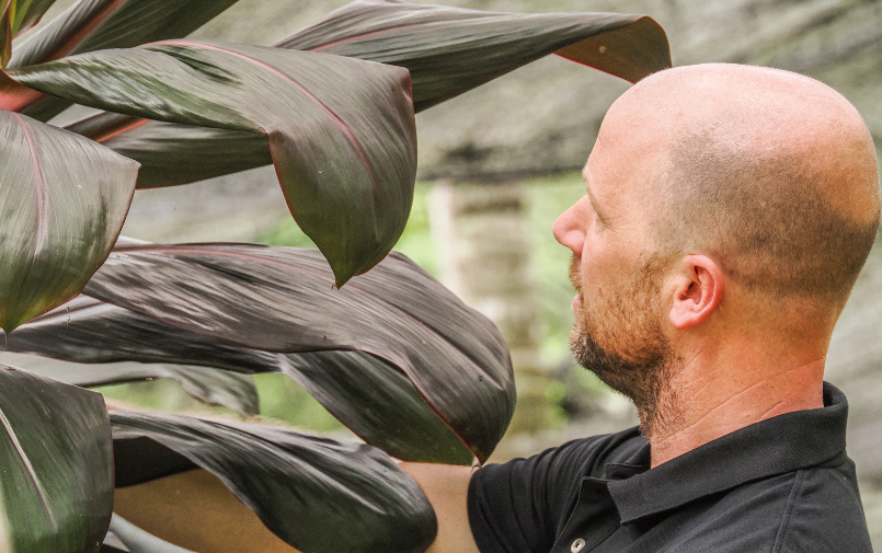 Greenflor international sourcing (2)