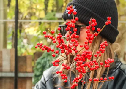 ilex,oranje,winter,2024