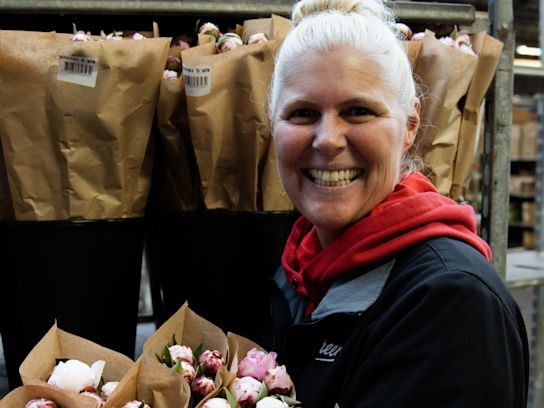 pioenen, logistiek, 23