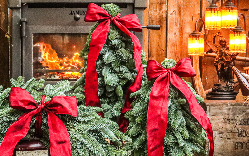 nobilis,boompjes,kerst,2025