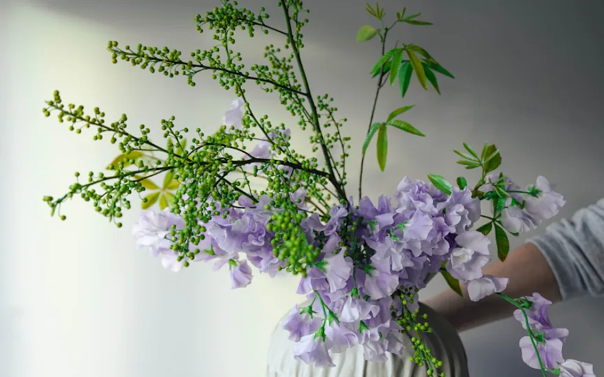 lathyrus,paars,23