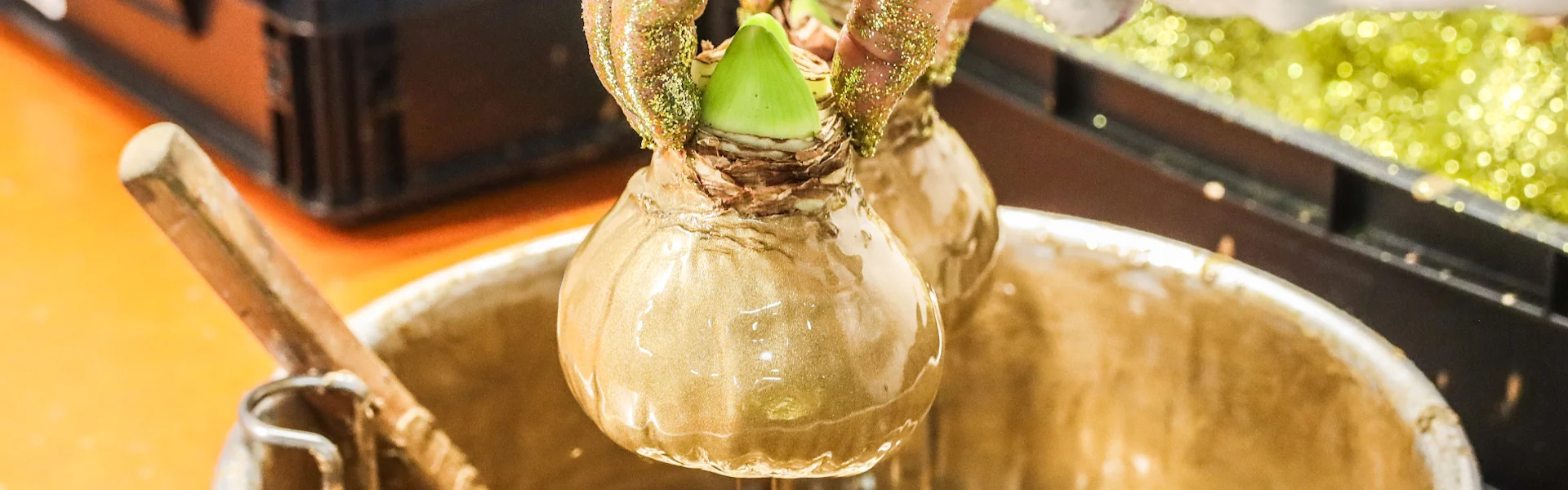 handmade wax creations