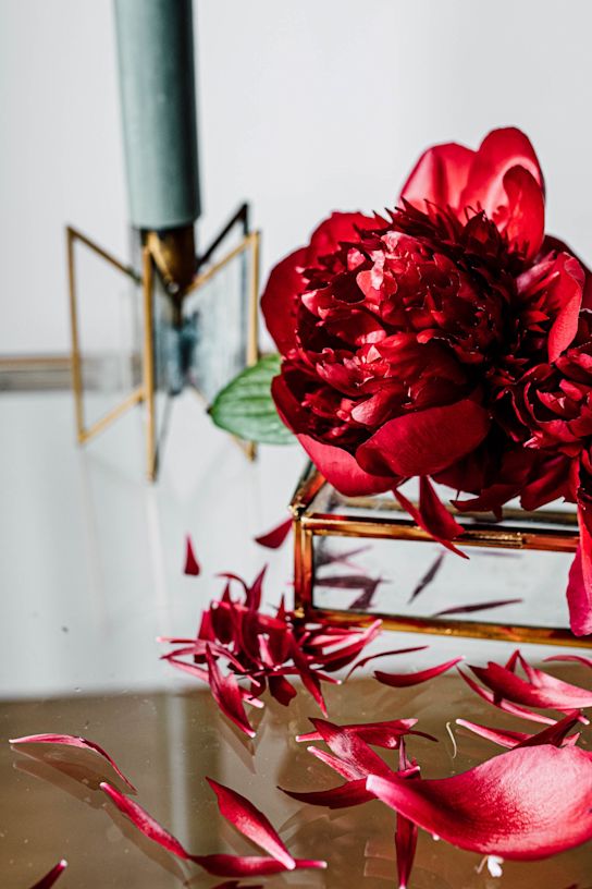 pioenen,rood,redcharm,21 (3)