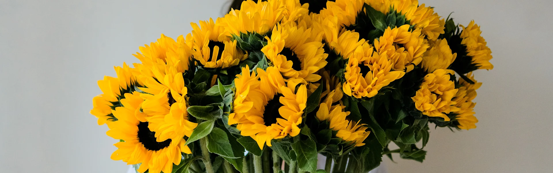 enjoy summer splendor