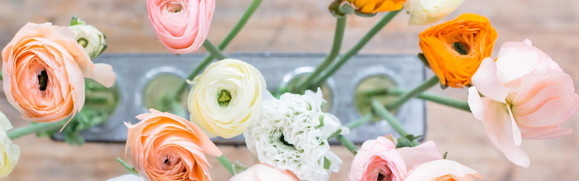 fragrant beauty from italy