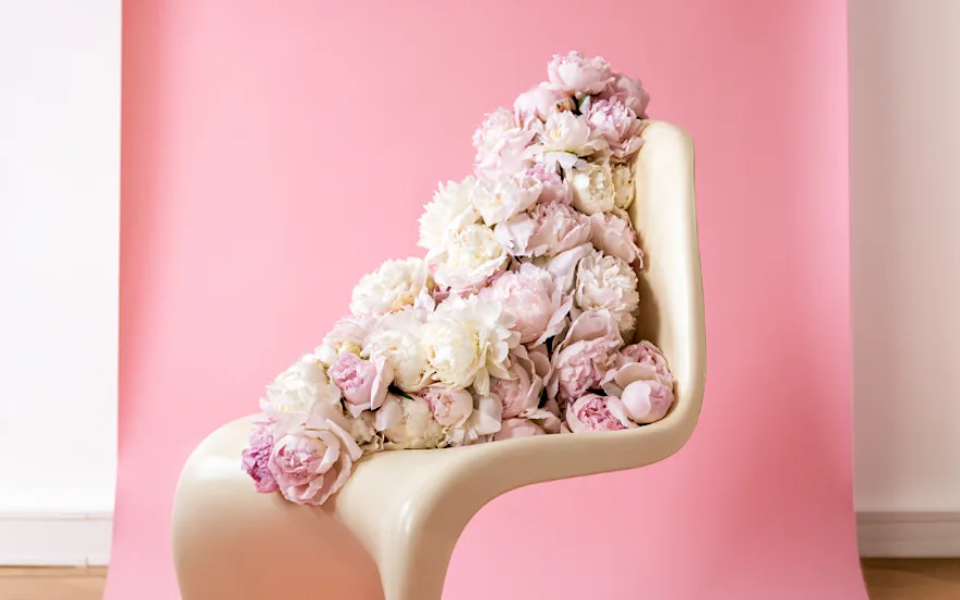 pioenen,roze,24