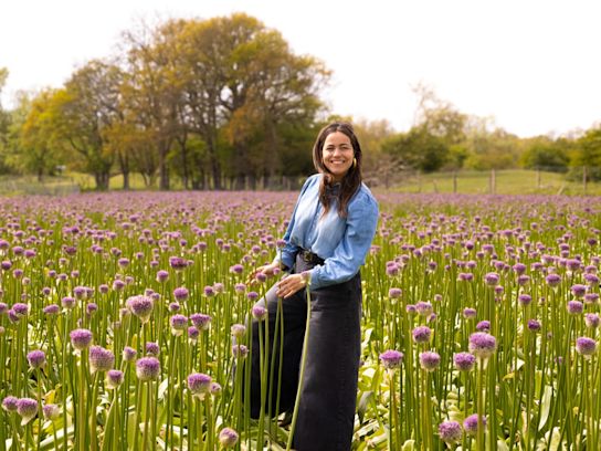 allium,paars,24 (4)