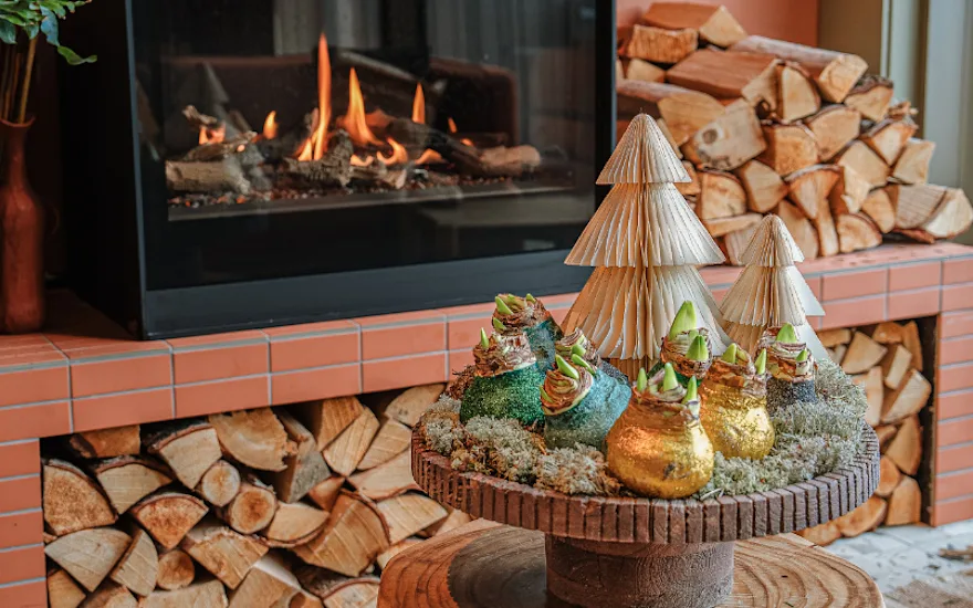 wintertafel,mix,24