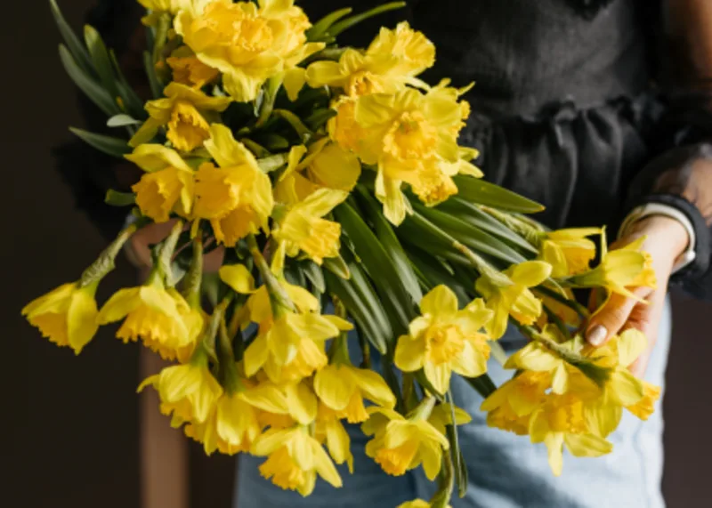 narcissen,geel,26