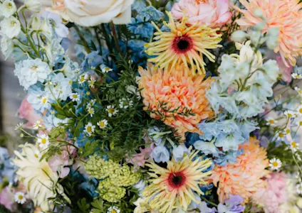 zomerbloemen,shoot,26