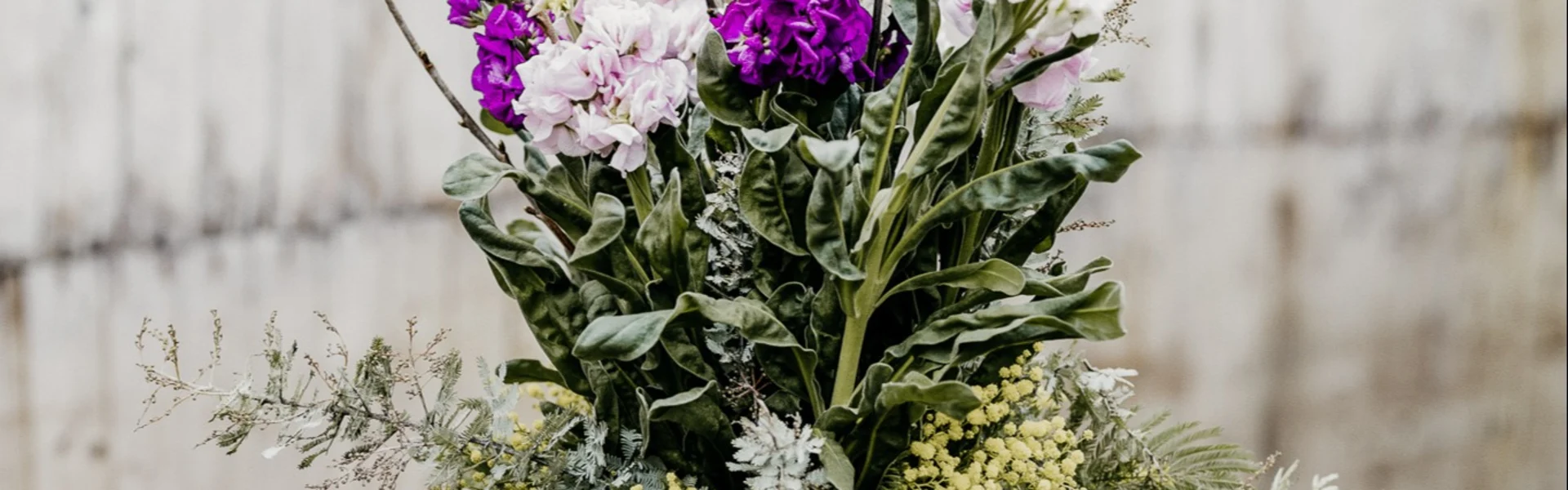 An atmosphere of colours and fragrances