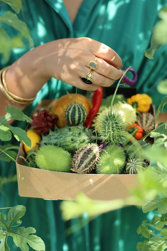ornamentalfruits,mix,22 (1)