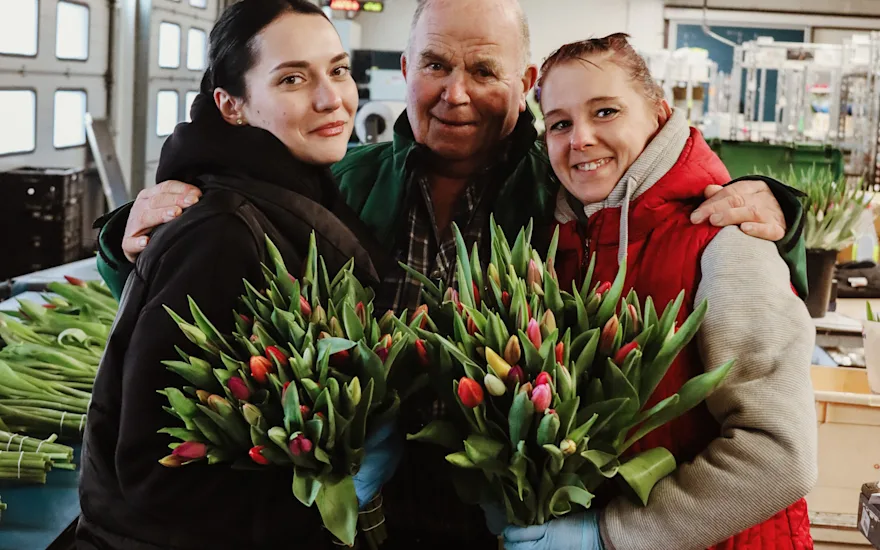 tulpen,retailfowers,mix,24 (14)