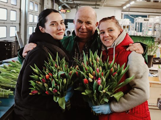 tulpen,retailfowers,mix,24 (14)