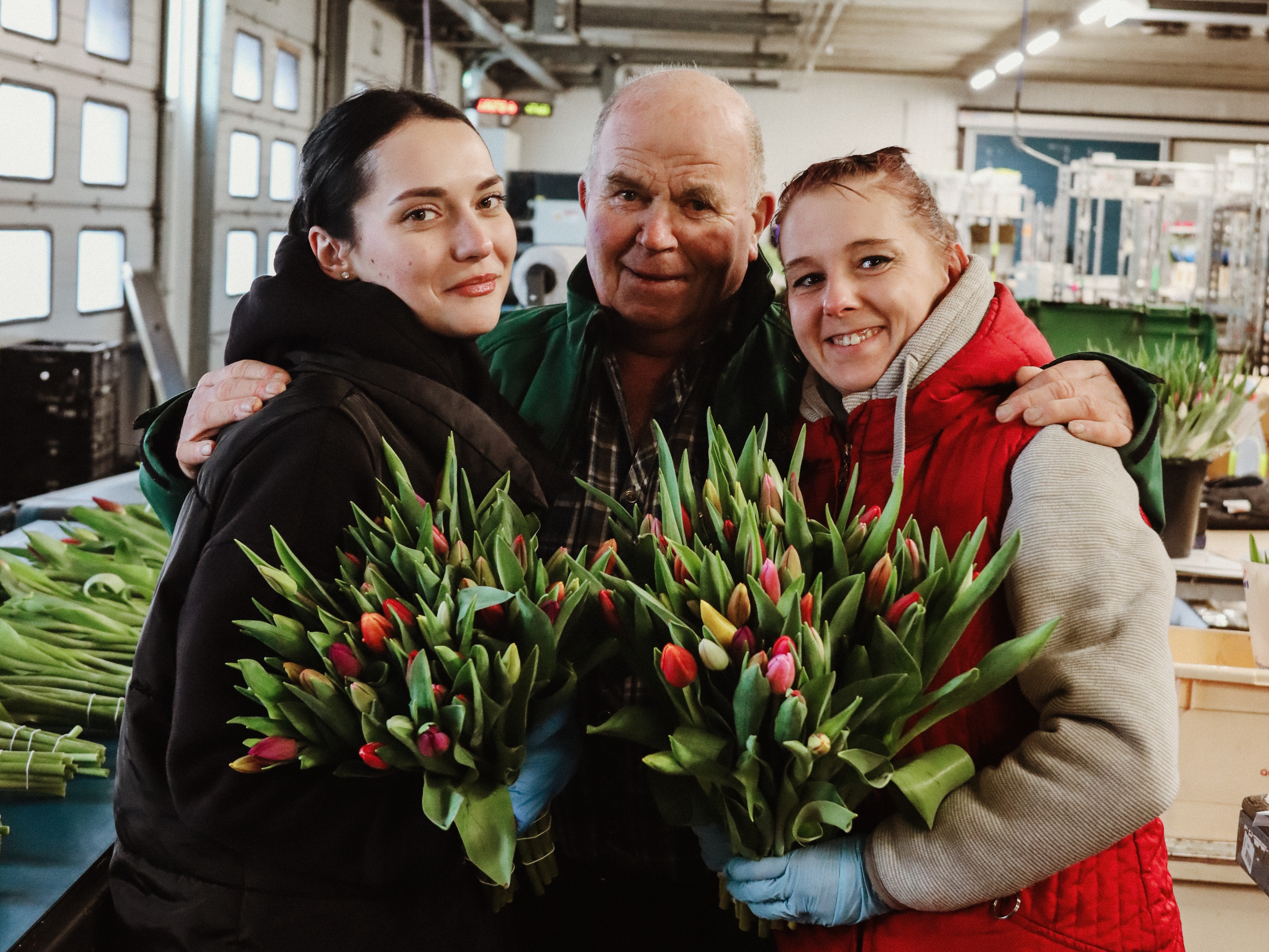 tulpen,retailfowers,mix,24 (14)