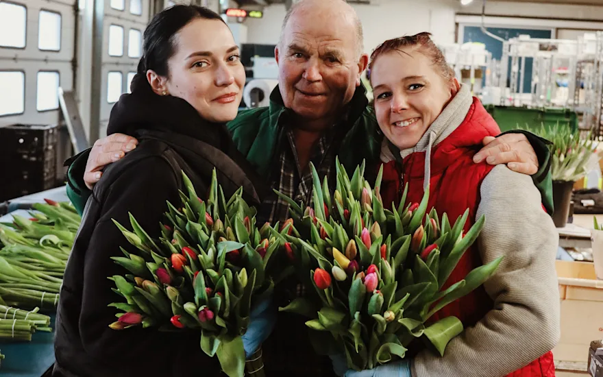 tulpen,retailfowers,mix,24 (14)