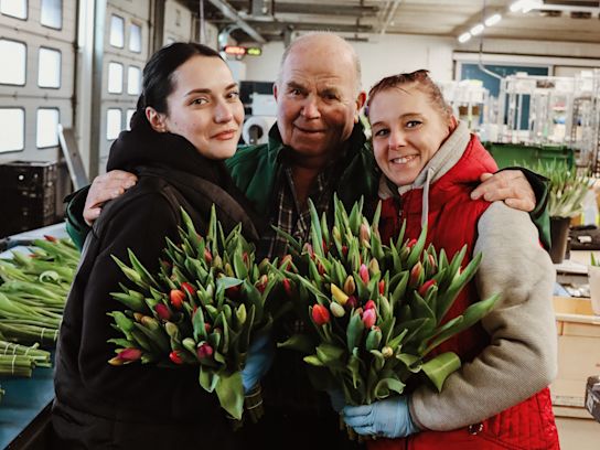 tulpen,retailfowers,mix,24 (14)