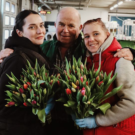 tulpen,retailfowers,mix,24 (14)