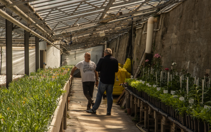 Greenflor market knowledge (1)