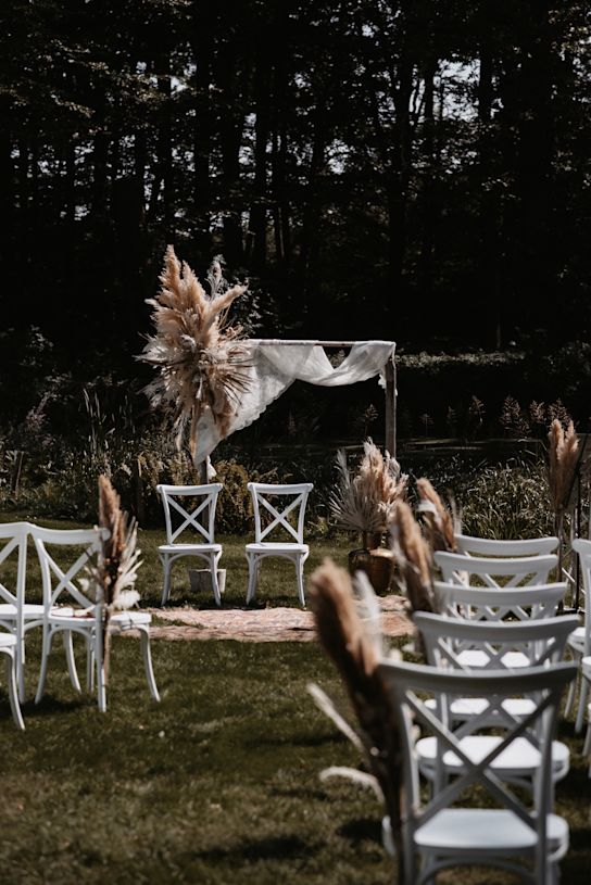 pampasgrass,beige,21 (1)