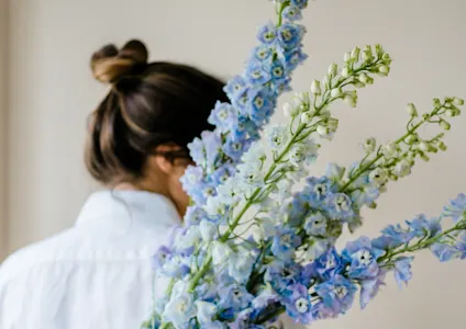delphinium,blauw,23
