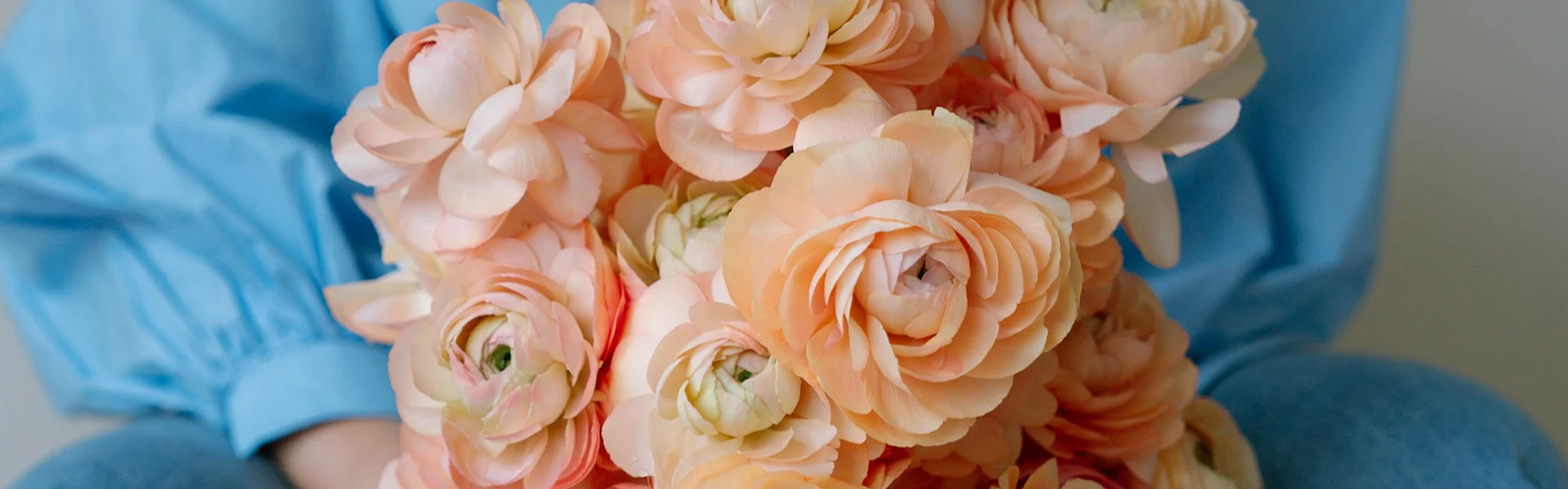 ranunculus