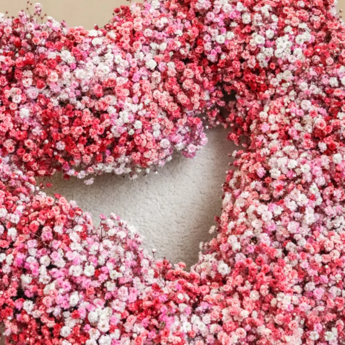 gypsophila, valentines, content block (4)