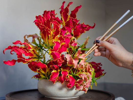 gloriosa,rood,24 (2)